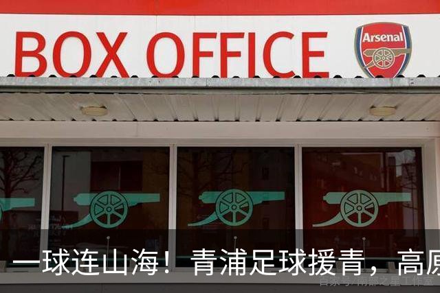 一球连山海！青浦足球援青，高原小将驰骋赛场荣获季军