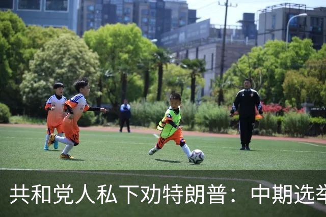 共和党人私下劝特朗普：中期选举前先别当总统了