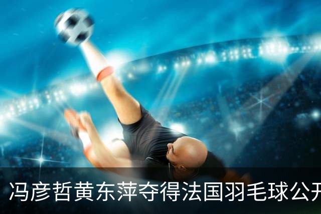 冯彦哲/黄东萍夺得法国羽毛球公开赛混双冠军