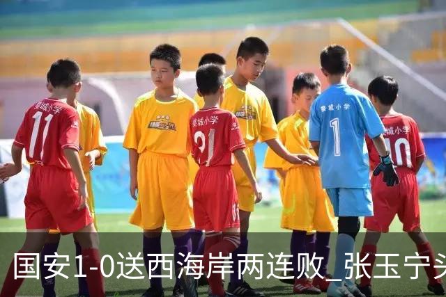 国安1-0送西海岸两连败 张玉宁头球制胜法比奥伤退 国安14轮不败