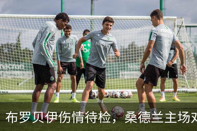 布罗贝伊伤情待检，桑德兰主场对利兹联或让他领衔锋线