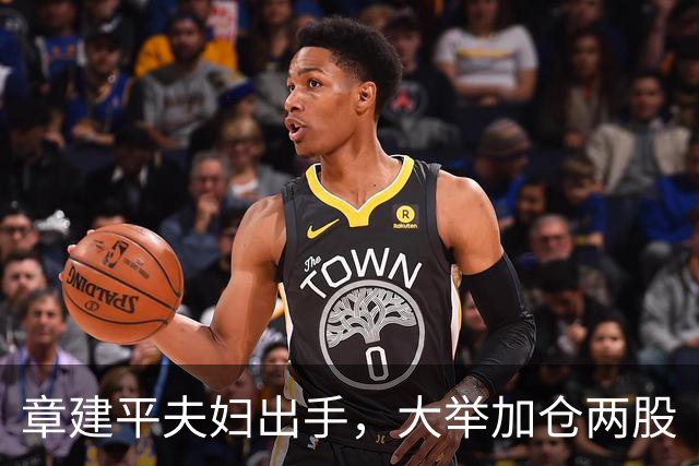 章建平夫妇出手，大举加仓两股