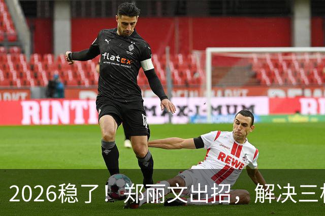 2026稳了！郑丽文出招，解决三根搅屎棍：侯友宜、卢秀燕、赵少康